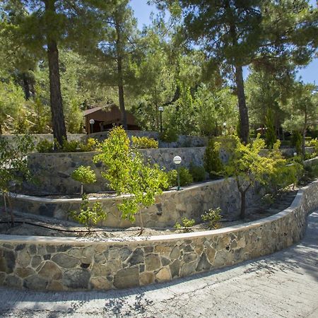 Villa Ricky Chalet Near Troodos à Spilia Extérieur photo