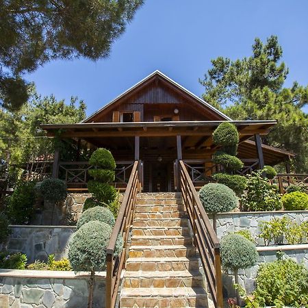 Villa Ricky Chalet Near Troodos à Spilia Extérieur photo