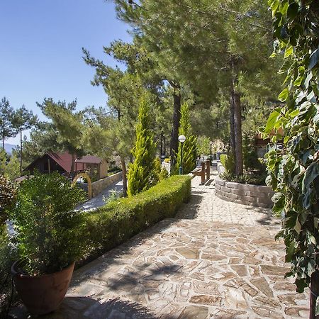 Villa Ricky Chalet Near Troodos à Spilia Extérieur photo