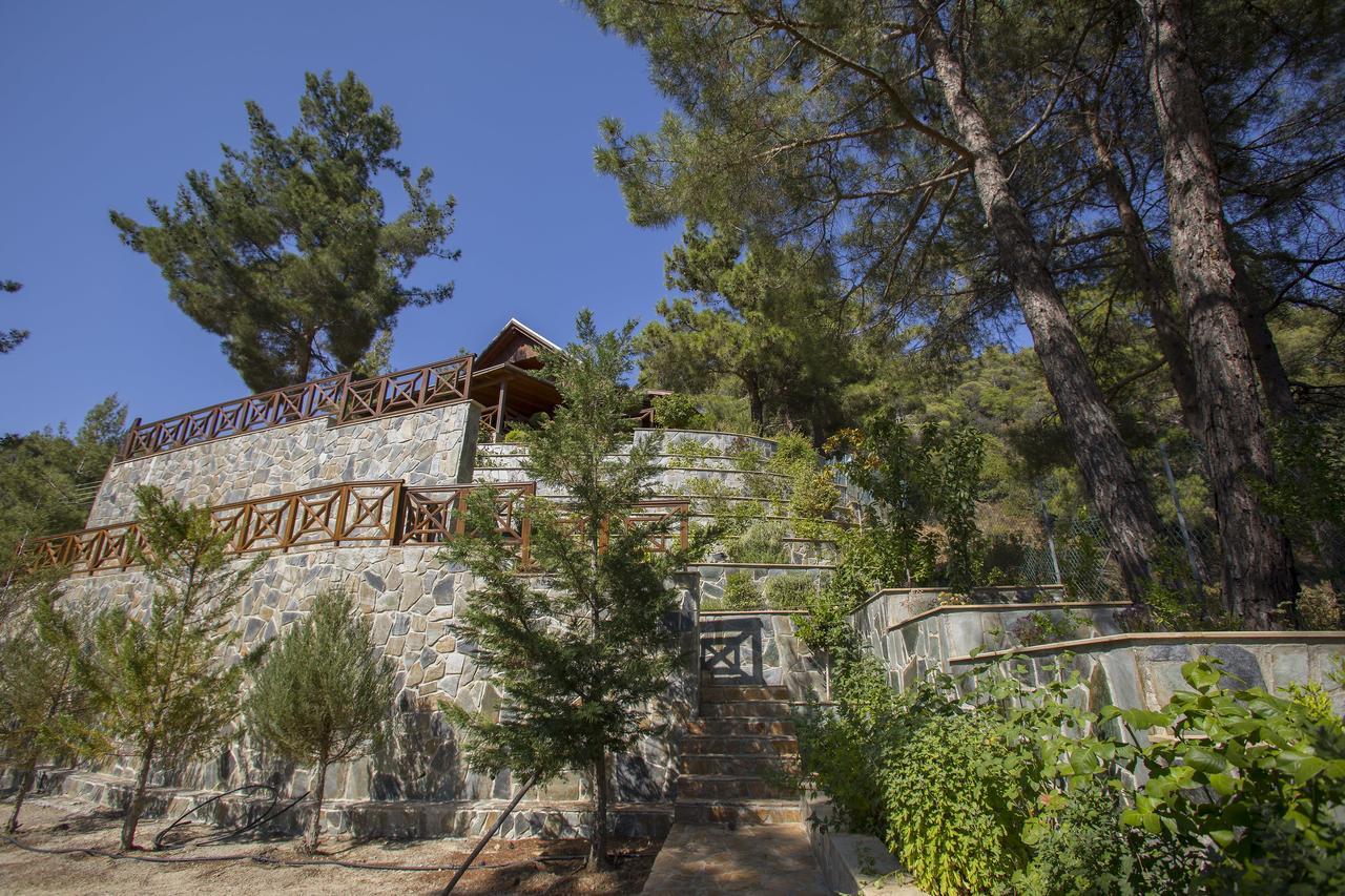 Villa Ricky Chalet Near Troodos à Spilia Extérieur photo