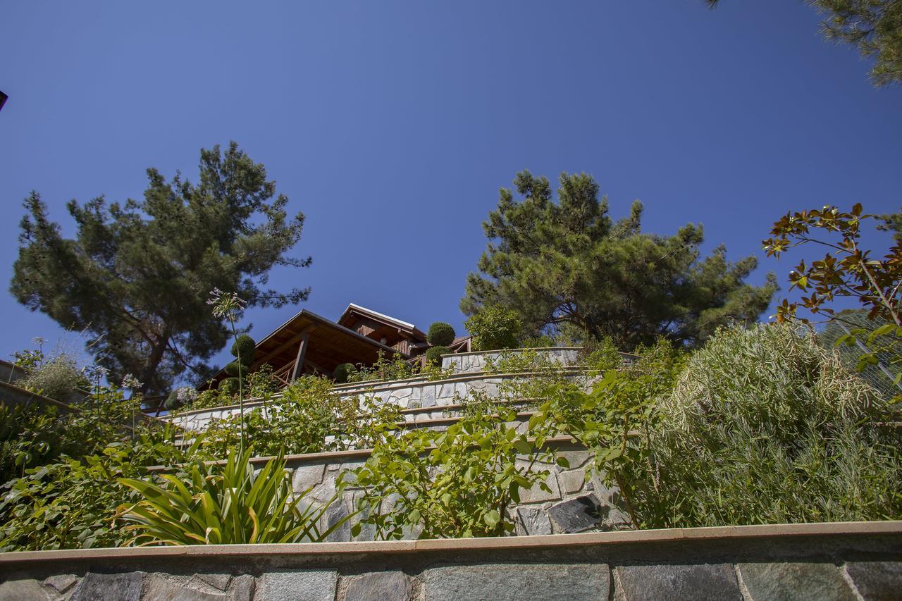 Villa Ricky Chalet Near Troodos à Spilia Extérieur photo