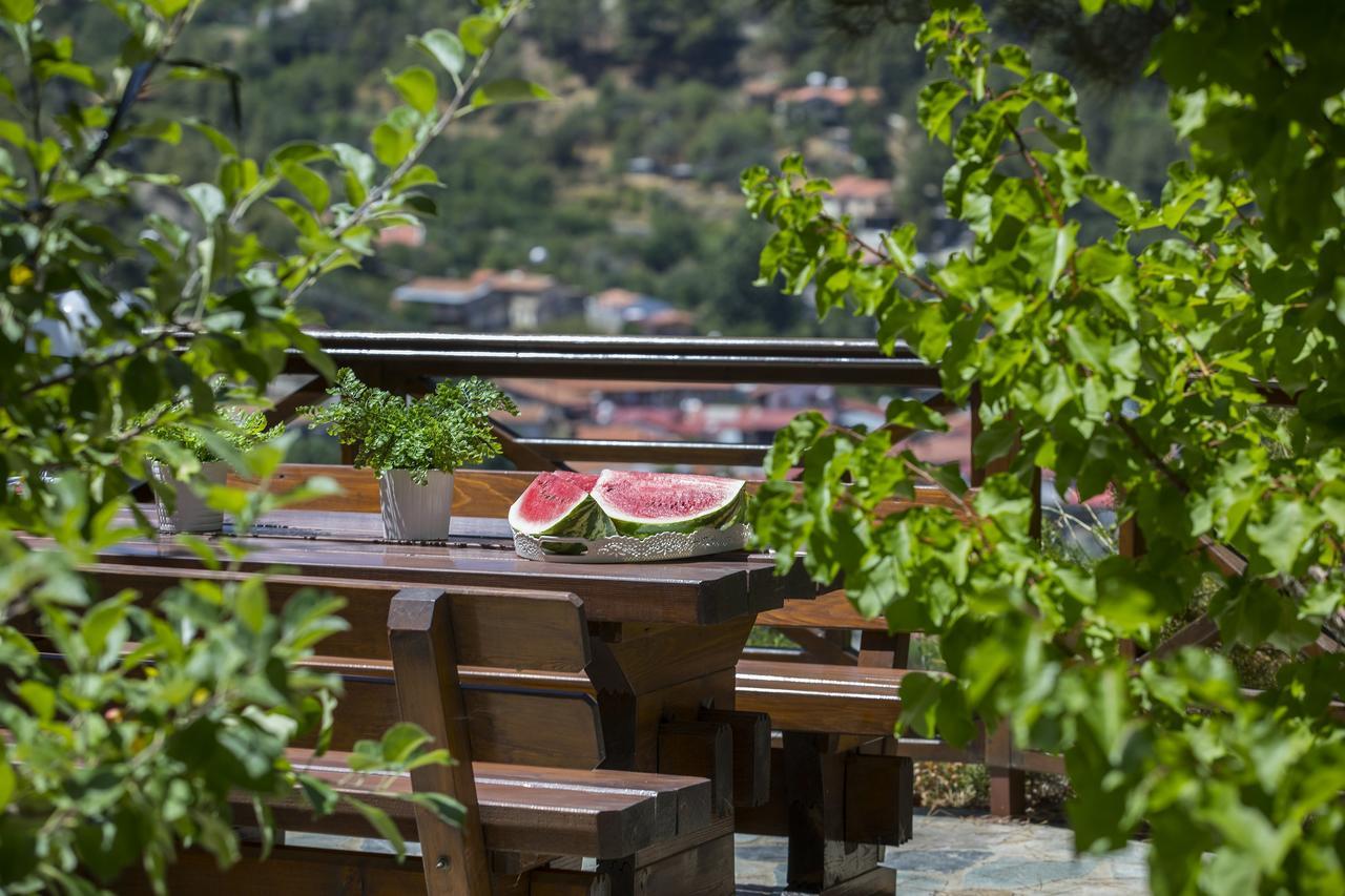 Villa Ricky Chalet Near Troodos à Spilia Extérieur photo