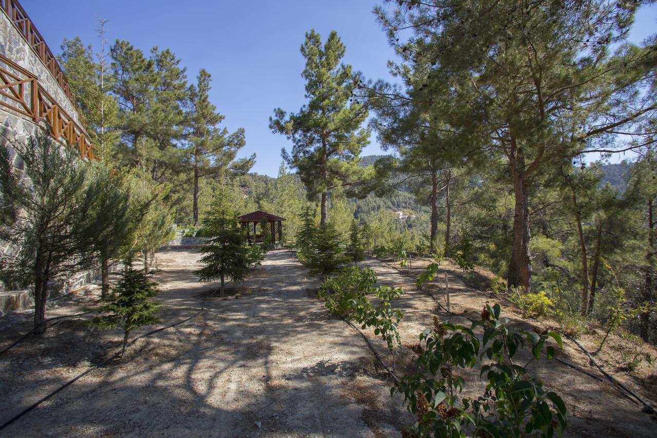 Villa Ricky Chalet Near Troodos à Spilia Extérieur photo