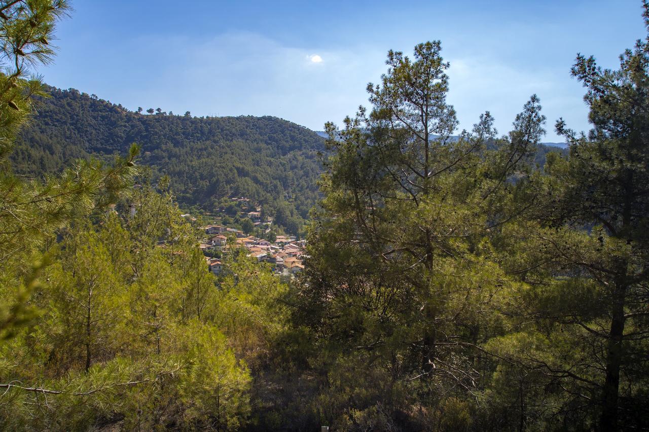 Villa Ricky Chalet Near Troodos à Spilia Extérieur photo