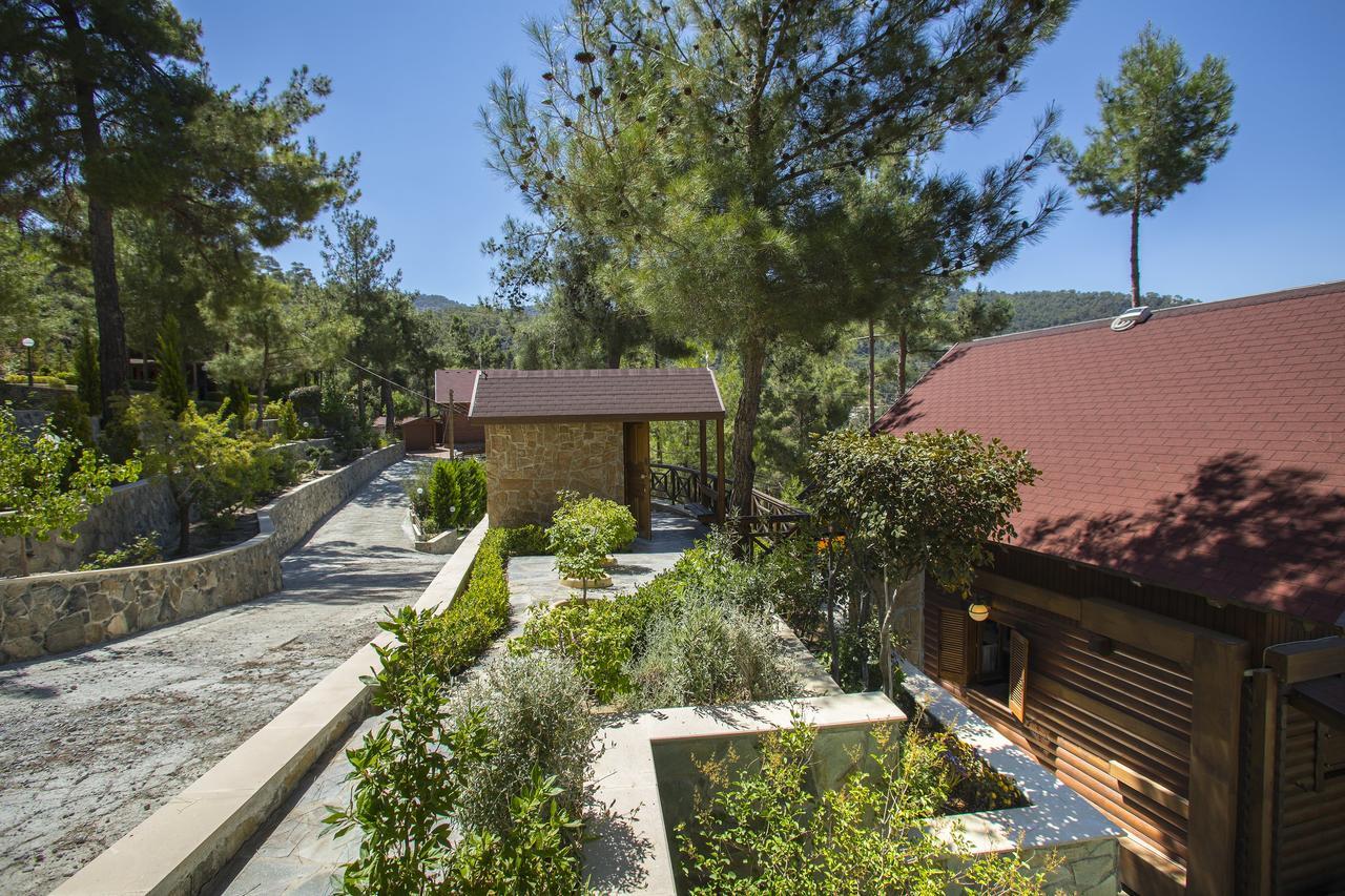 Villa Ricky Chalet Near Troodos à Spilia Extérieur photo