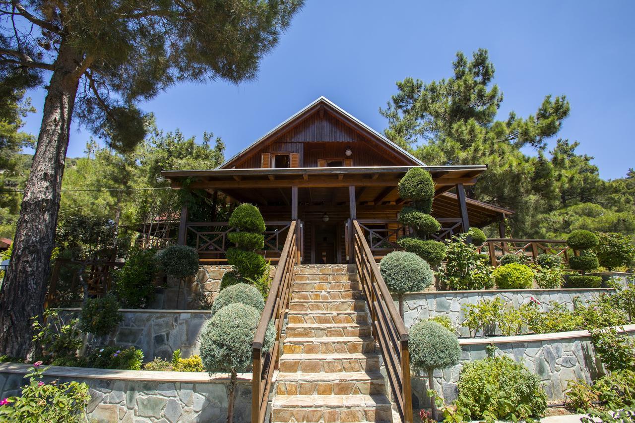 Villa Ricky Chalet Near Troodos à Spilia Extérieur photo