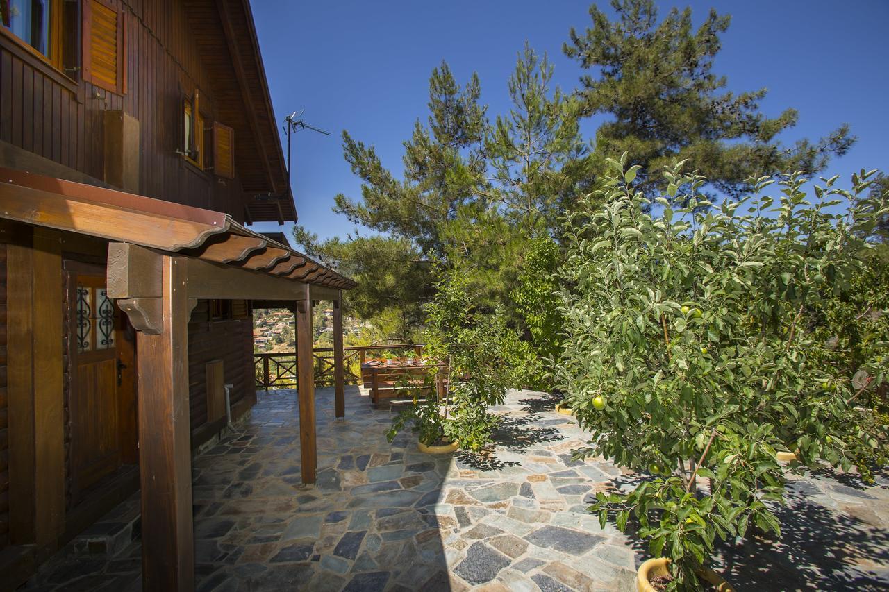 Villa Ricky Chalet Near Troodos à Spilia Extérieur photo